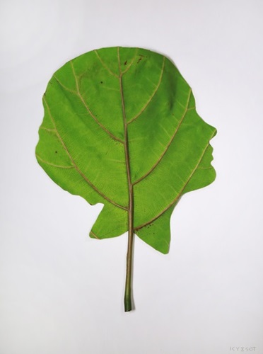 Giving Plant