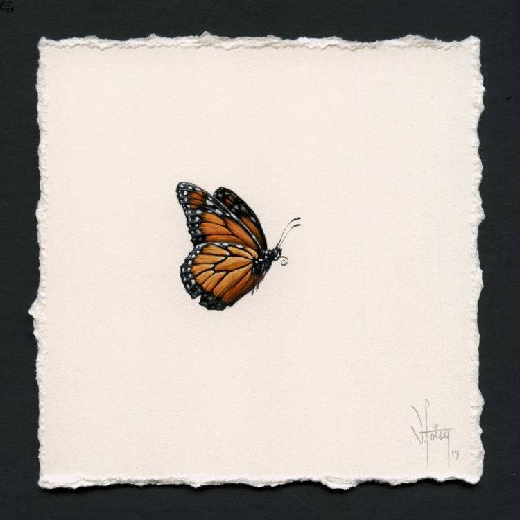 Monarch Miniature [November 2019]