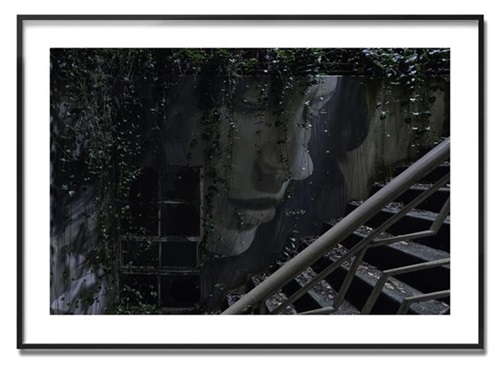 Midnight In The Garden - Empire Series