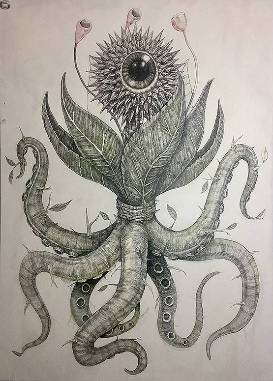 Naturaleza Acuatica
