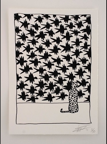 Searching For Solid Ground