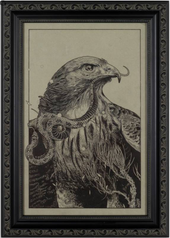 Red-Tailed Hawk with Snake
