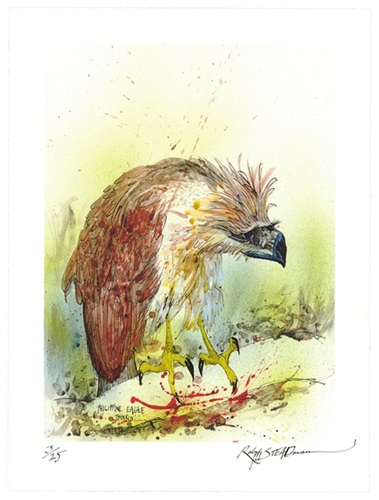 Philippine Eagle