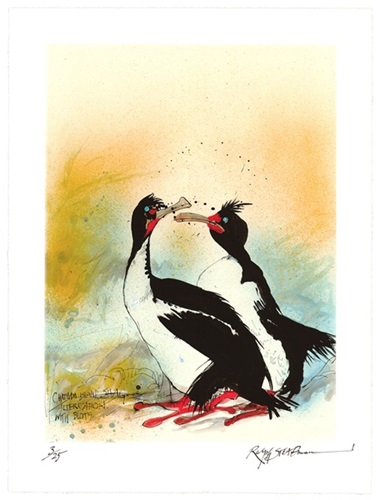 Chatham Island Shag