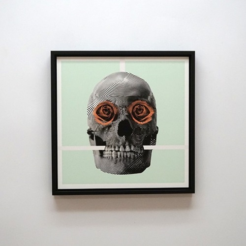 Skull Rose