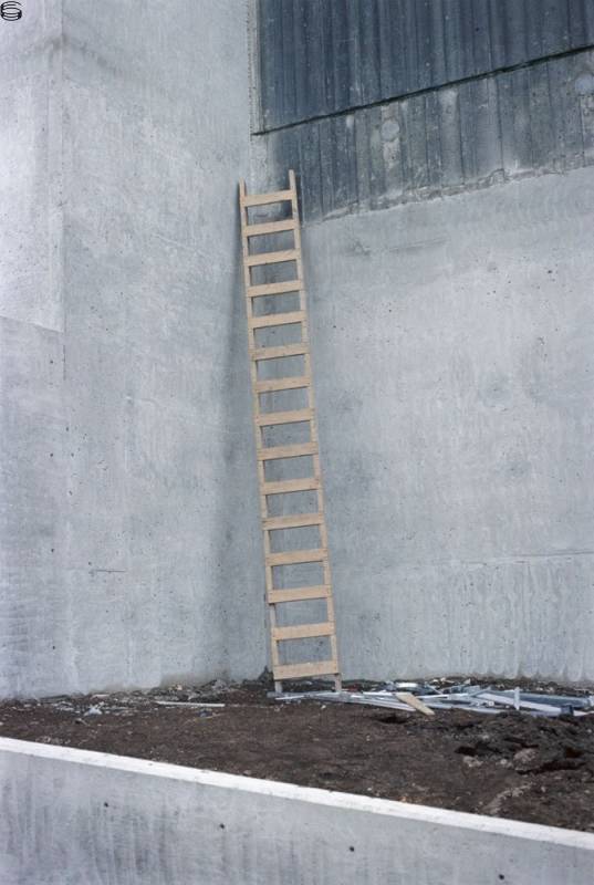 Untitled (ladder)