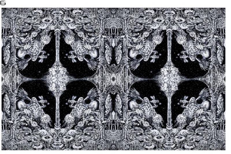 Woodpecker Fractal
