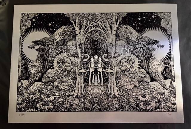 Woodpecker Tsunami 14