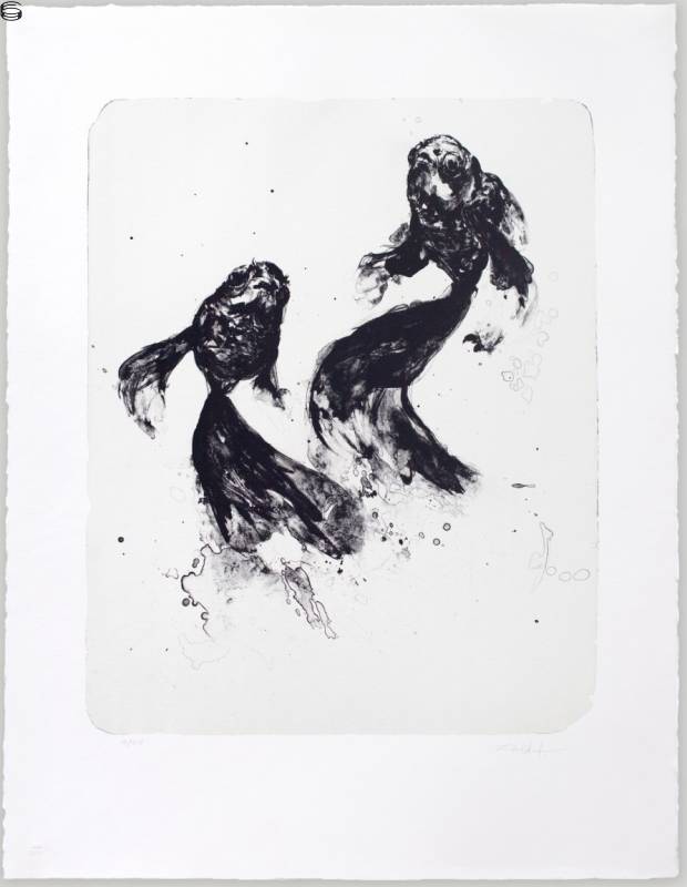 Black Waters