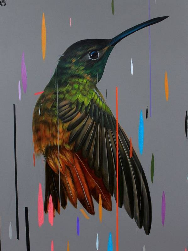 Buff Breasted Hummingbird