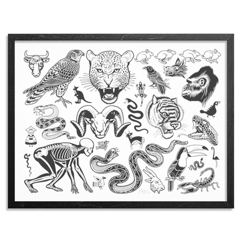 Wildlife