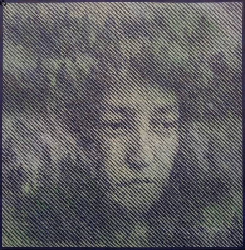 A Forest