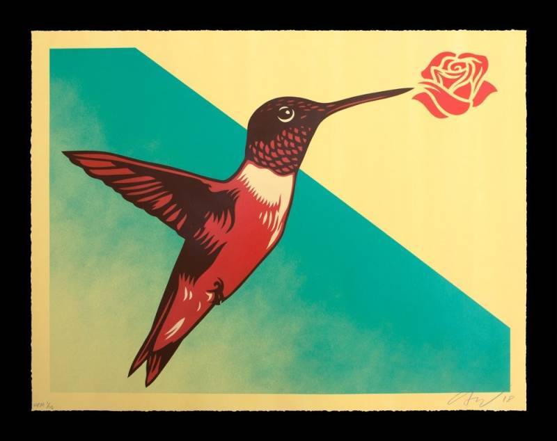 Ernesto Yerena - Colibri - Dignity Edition