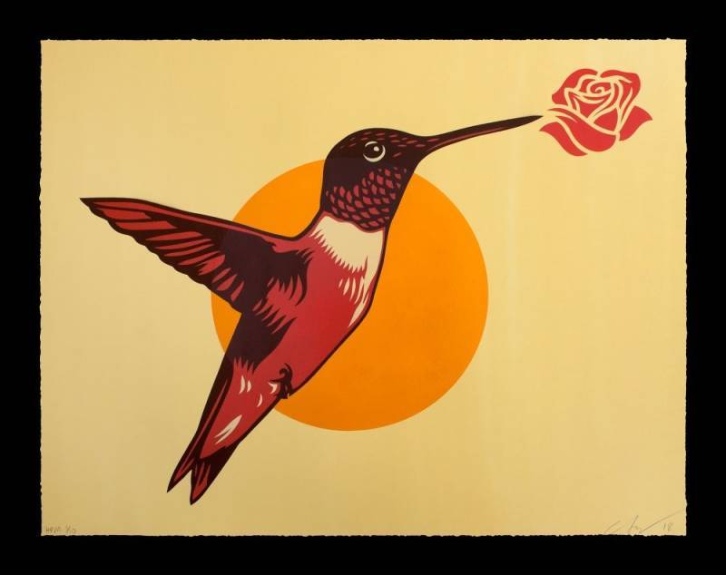 Ernesto Yerena - Colibri - Sun Edition
