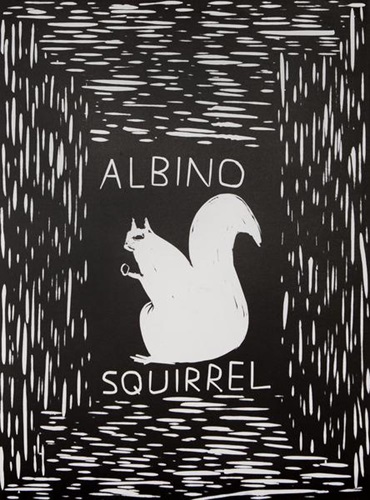 Albino Squirrel