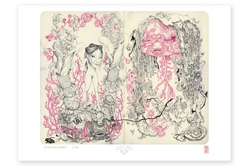 Year Of The Rabbit