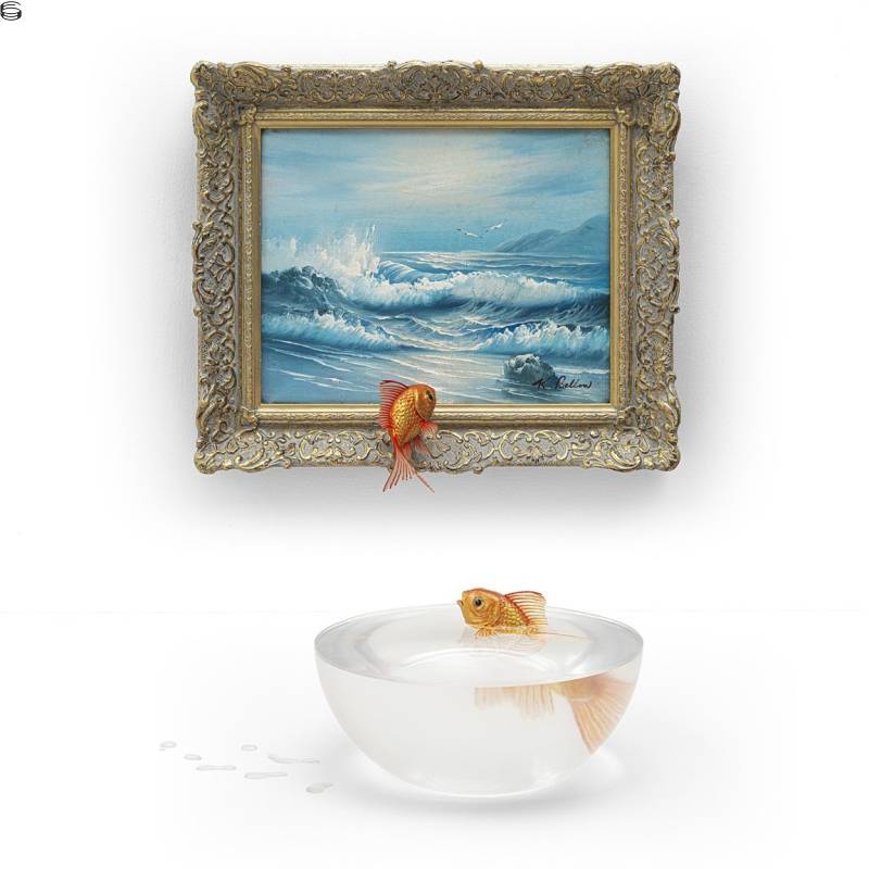 Goldfish
