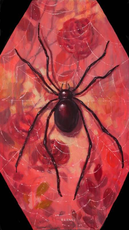 Along Came a Spider (A)