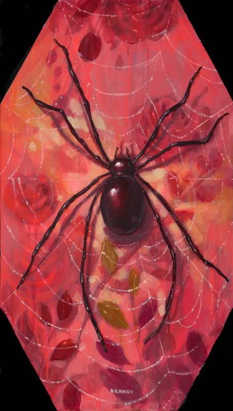 Along Came a Spider (B)