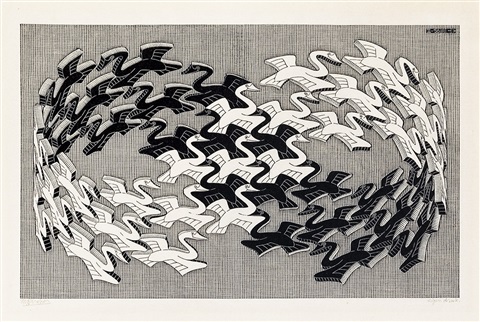 Swans (Bool 408)