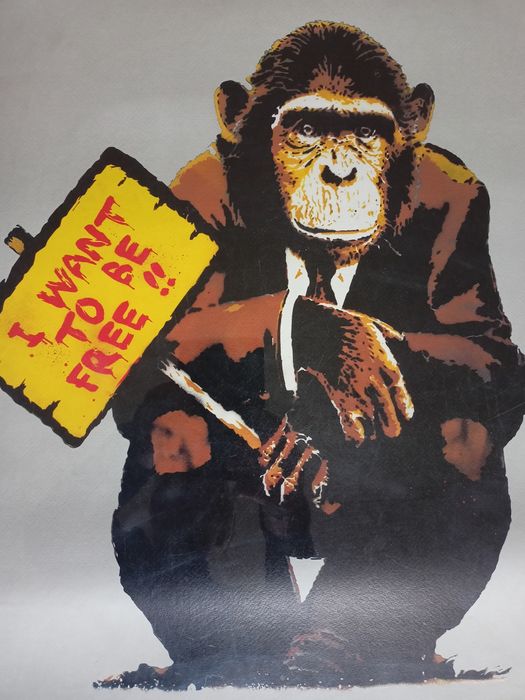 Monkey I Want To Be Free