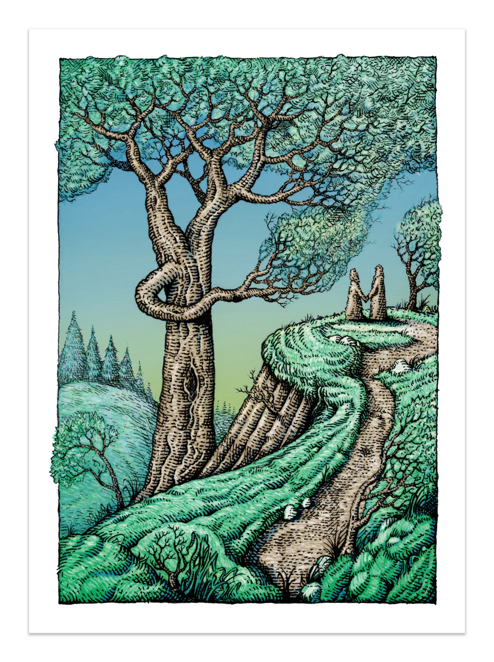 Witness Tree
