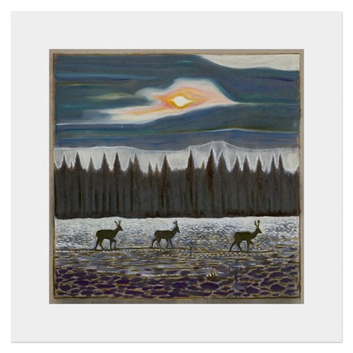 Deer And Northern Sun