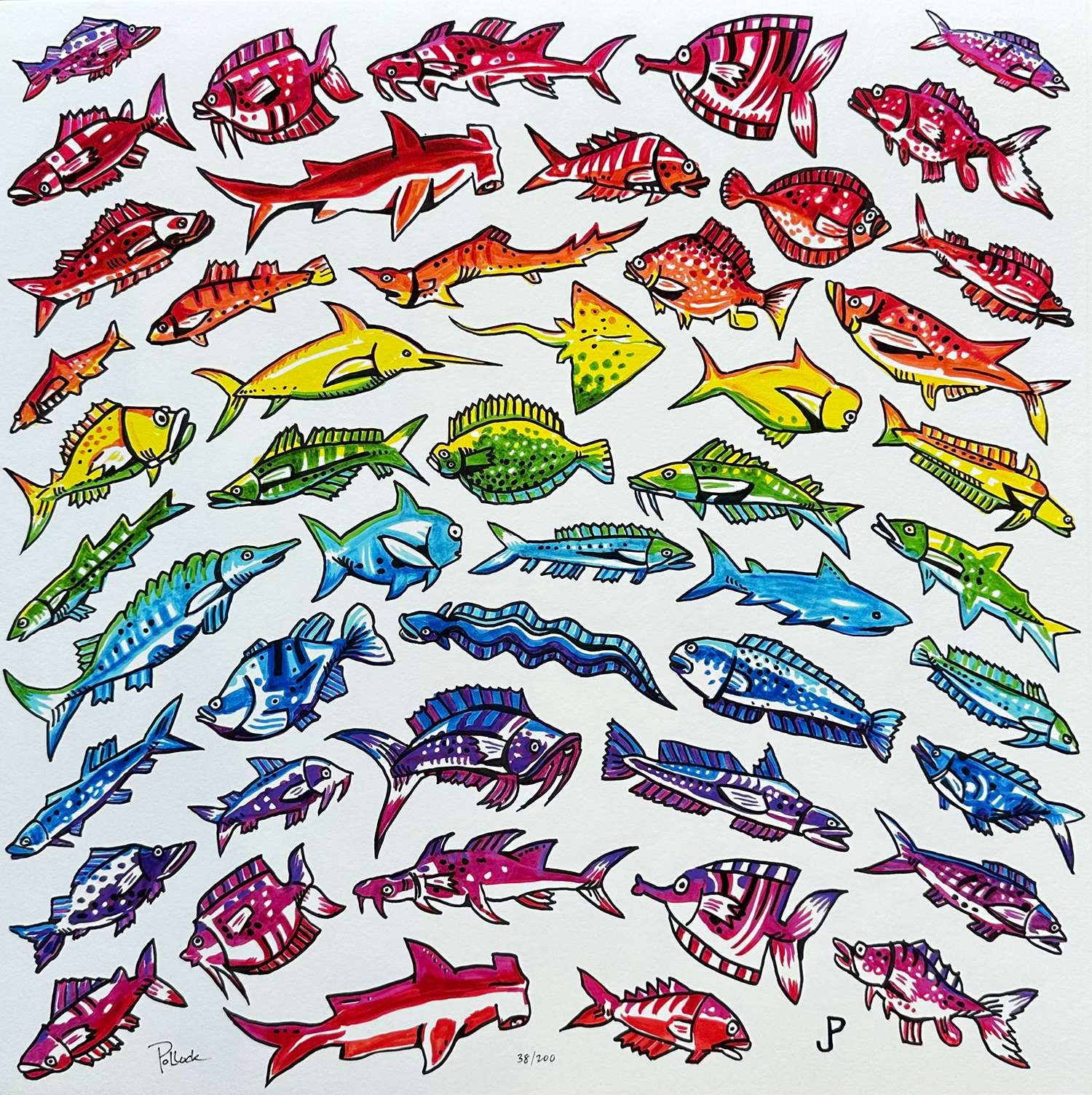 Fish Rainbow 