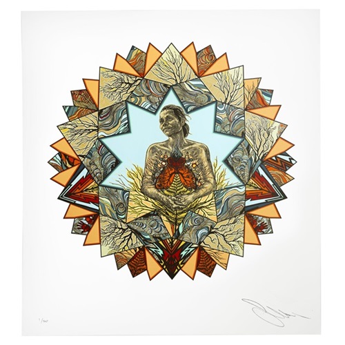 Sonia, Radiant Symmetries