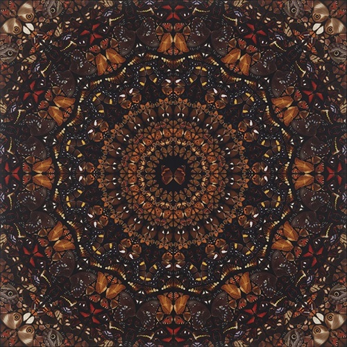 The Elements - Earth