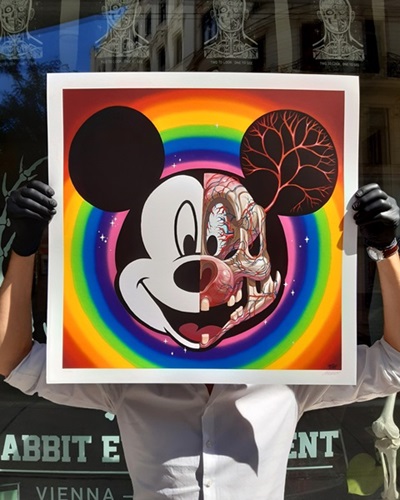 Mickey Head Anatomy