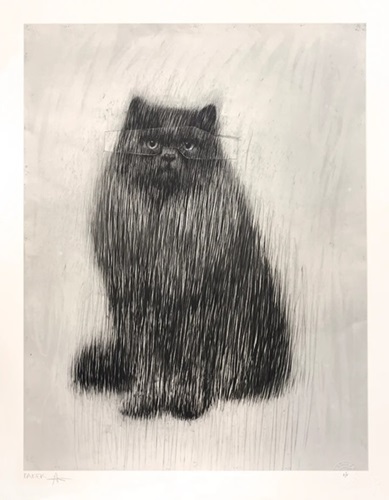Feline