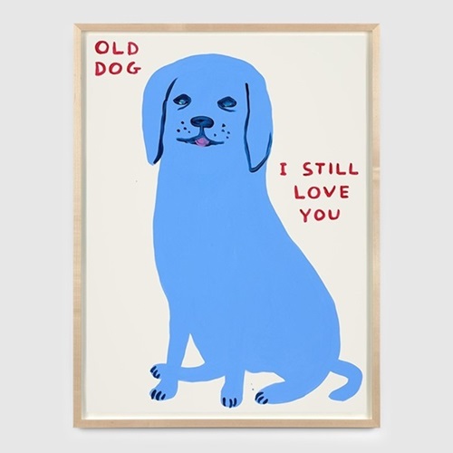 Untitled (Old Dog)