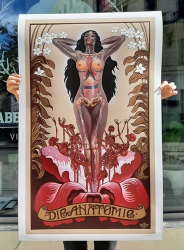 Die Anatomie