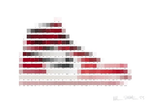 Nike Air Jordan Chicago