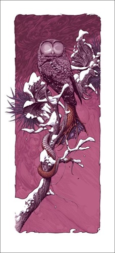 Crypsis